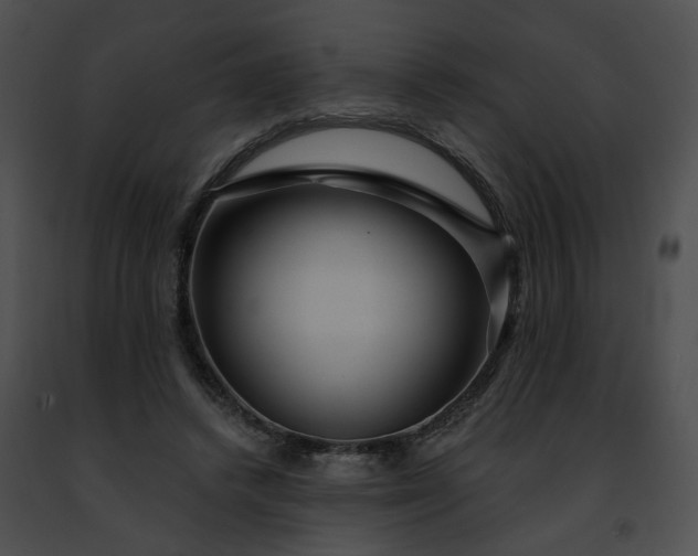 X0000091470448200708301857