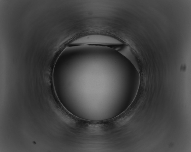 X0000091470450200708301857