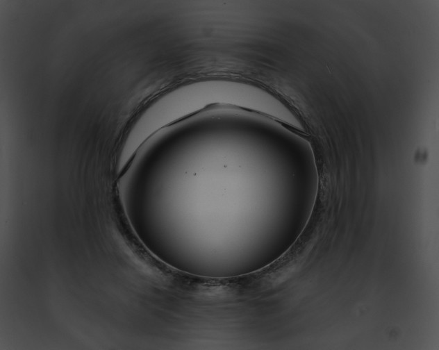 X0000091470454200708301857