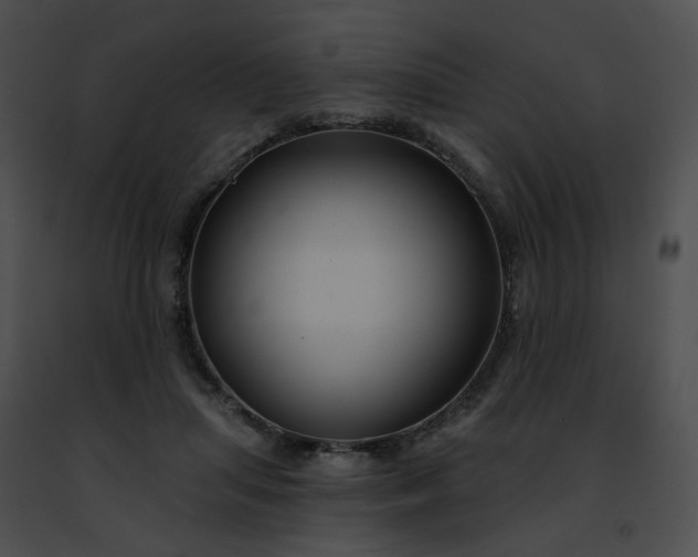 X0000091470455200708301857