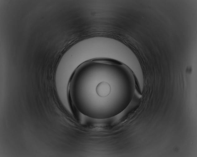 X0000091470460200708301857