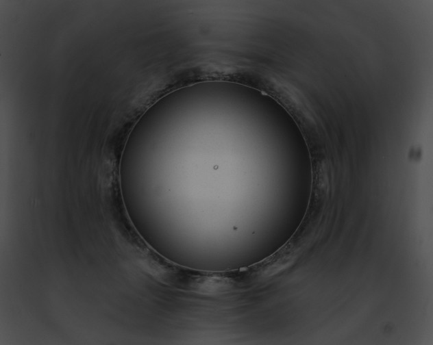 X0000091470463200708301857