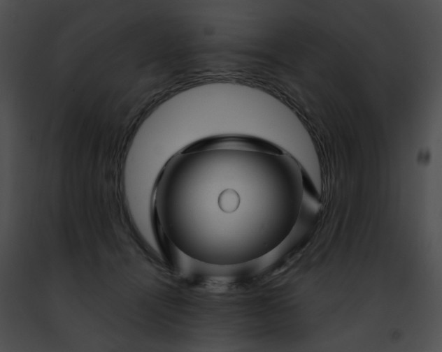 X0000091470464200708301857