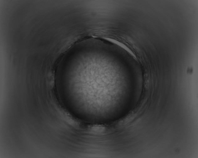 X0000091470471200708301857