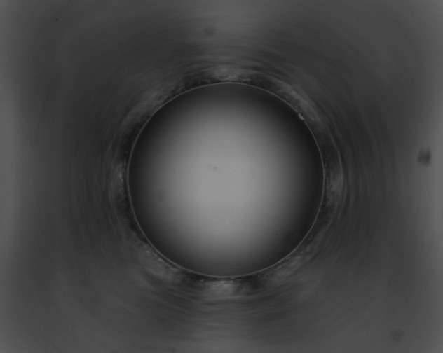 X0000091470473200708301857