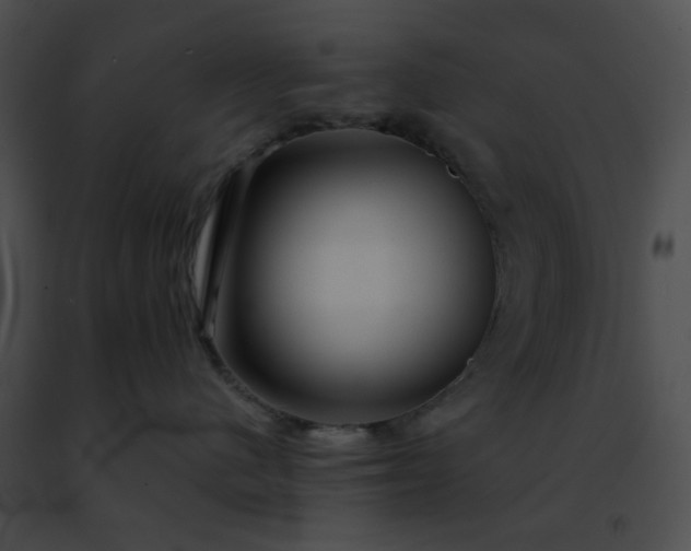 X0000091470480200708301857