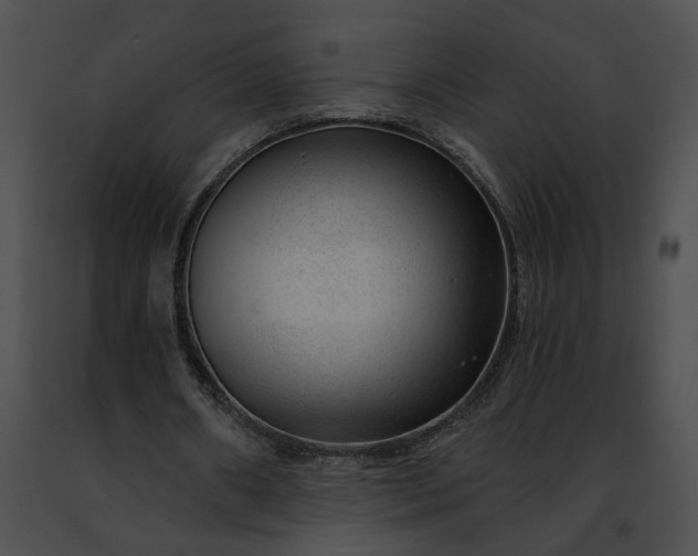 X0000091470482200708301856