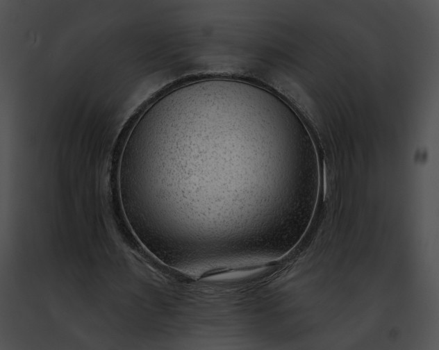 X0000091470483200708301856