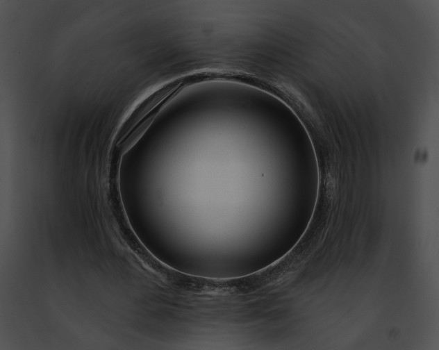 X0000091470484200708301856