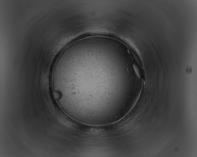 X0000091470487200708301856