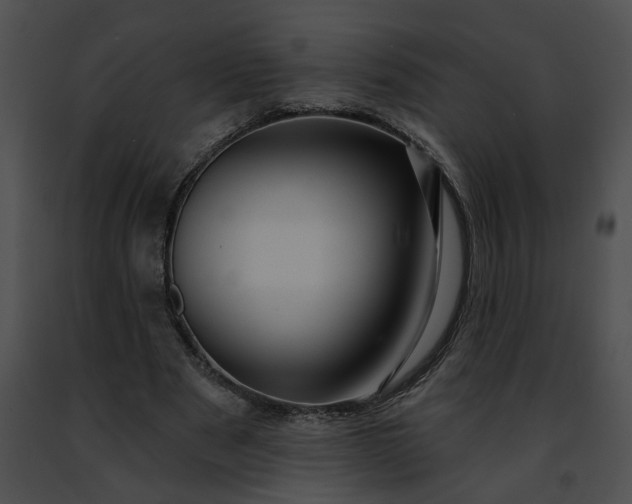 X0000091470489200708301856