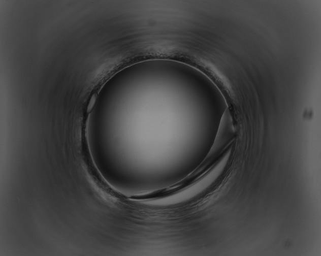 X0000091470493200708301856