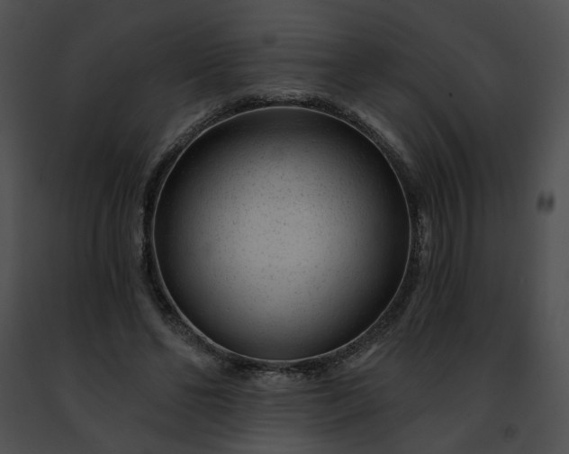 X0000091470494200708301856