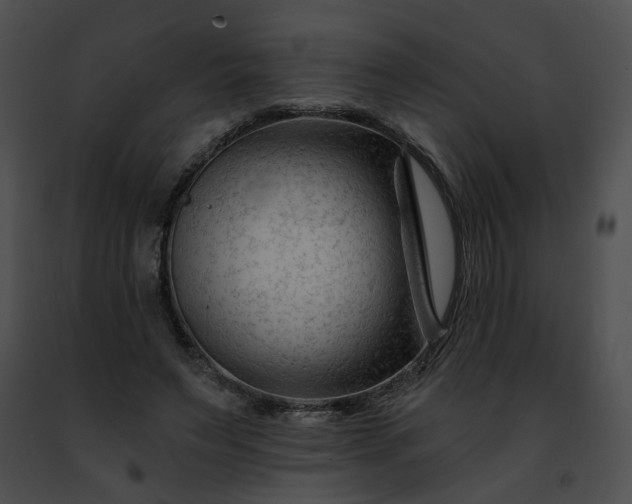 X0000091470495200708301856