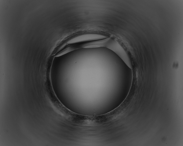 X0000091470496200708301856