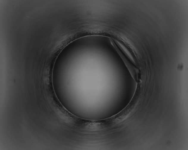 X0000091470497200708301856