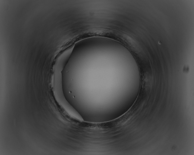 X0000091470500200708301856