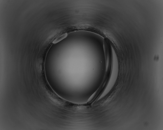 X0000091470501200708301856