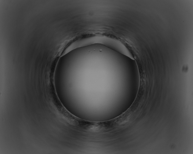 X0000091470504200708301856