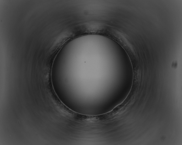 X0000091470505200708301856