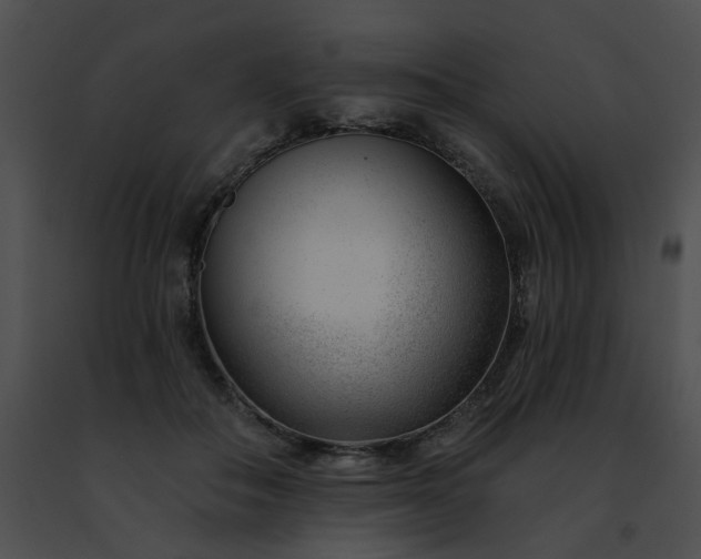 X0000091470506200708301856