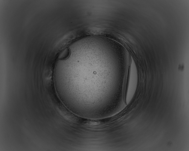 X0000091470507200708301856