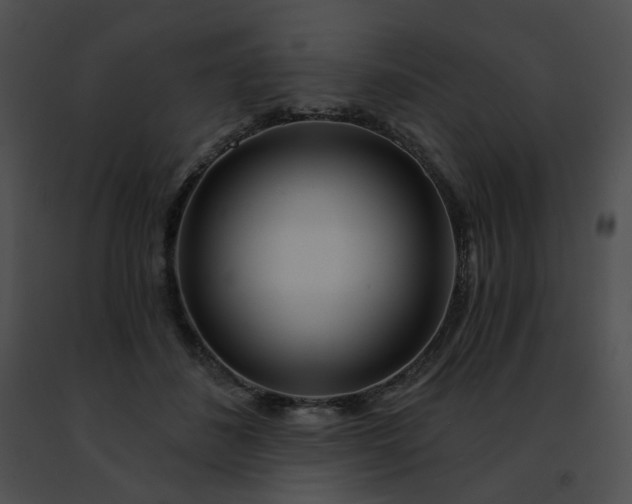 X0000091470508200708301856