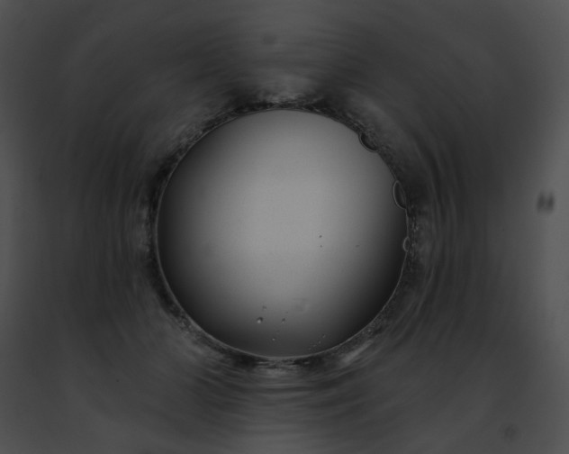 X0000091470510200708301856