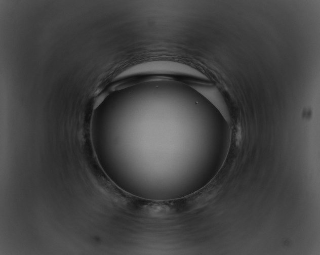 X0000091470512200708301856