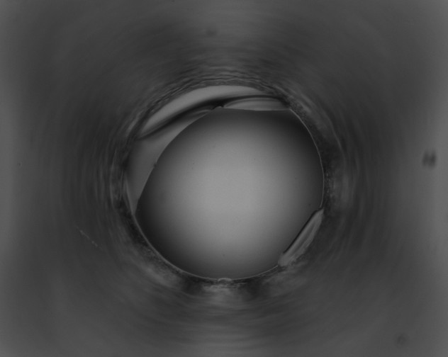 X0000091470516200708301856