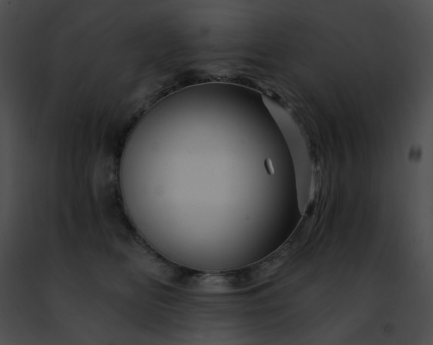 X0000091470518200708301856