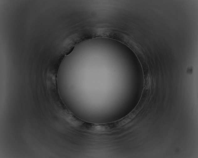 X0000091470522200708301856