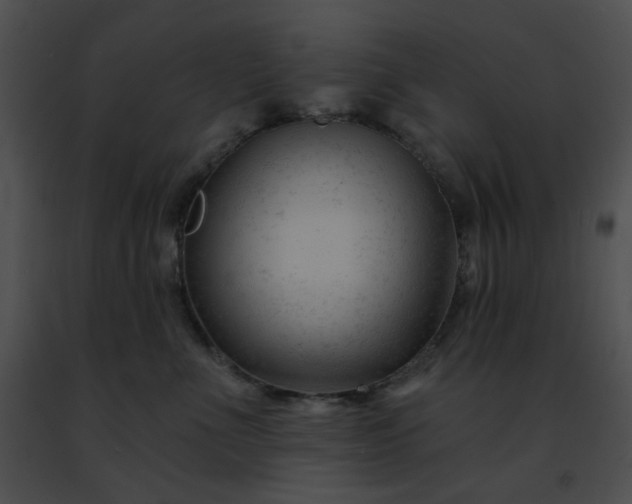 X0000091470523200708301856