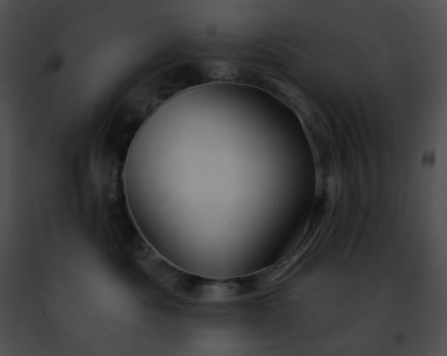 X0000091470525200708301856