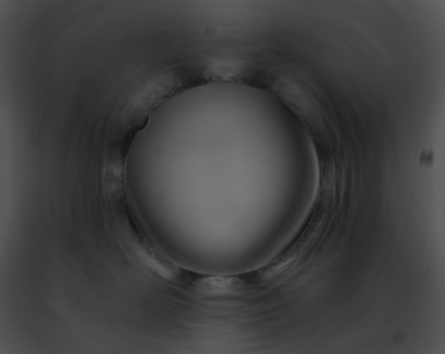 X0000091470526200708301856