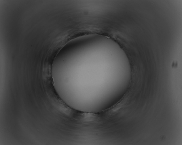 X0000091470528200708301856