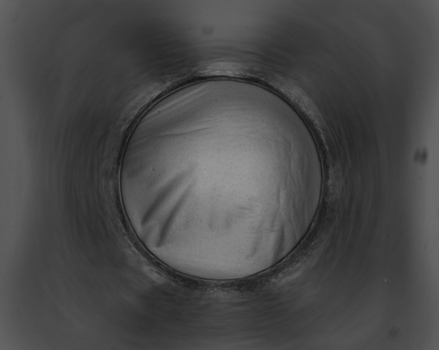 X0000091470529200708301855