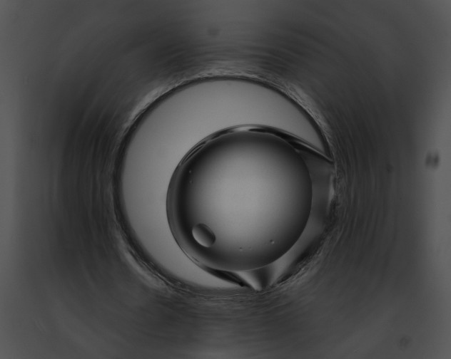 X0000091470530200708301855