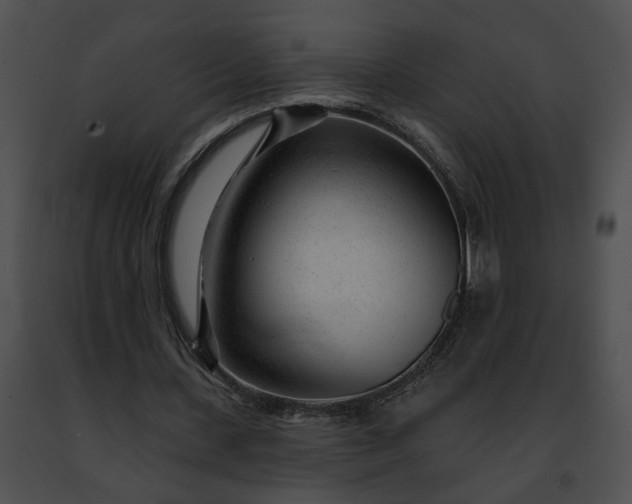 X0000091470531200708301855