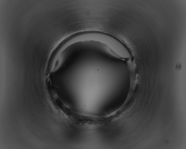 X0000091470532200708301855