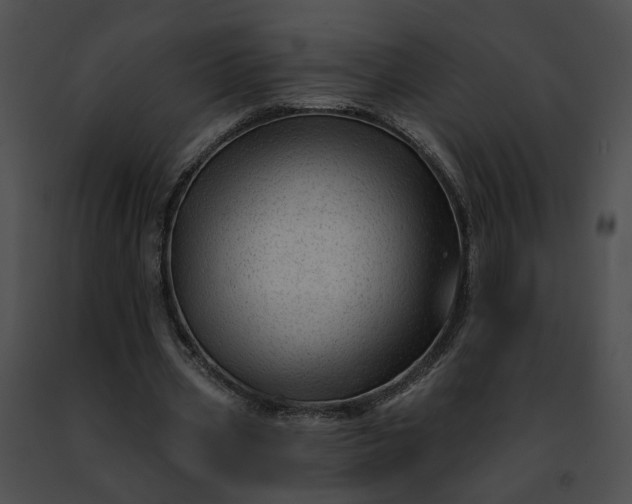 X0000091470533200708301855