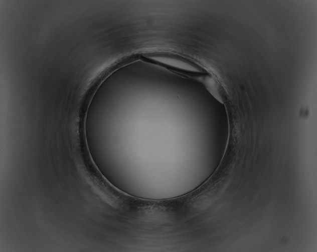 X0000091470535200708301855