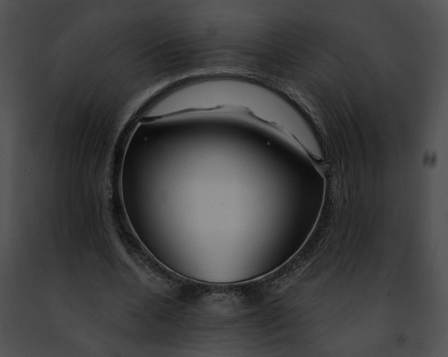 X0000091470536200708301855