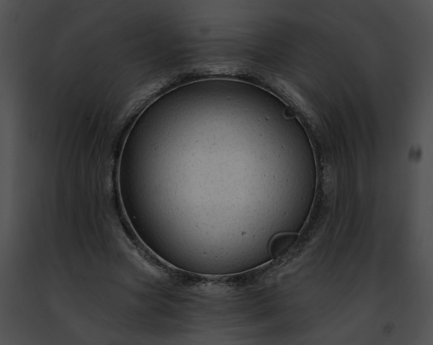 X0000091470537200708301855