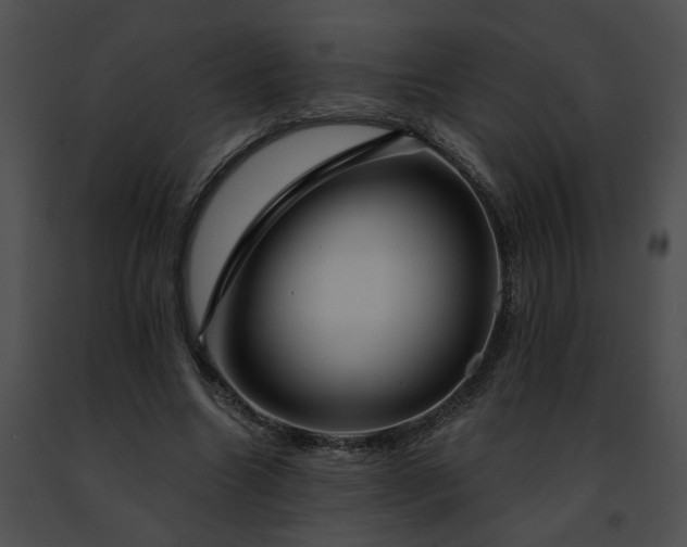 X0000091470538200708301855