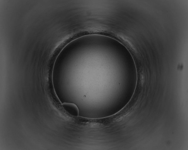 X0000091470539200708301855