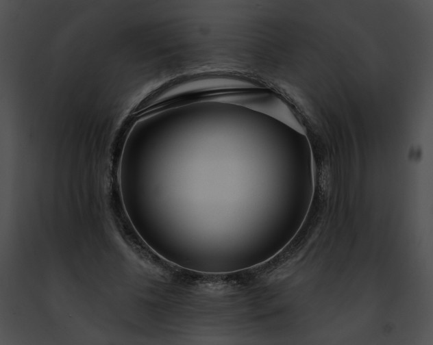 X0000091470540200708301855