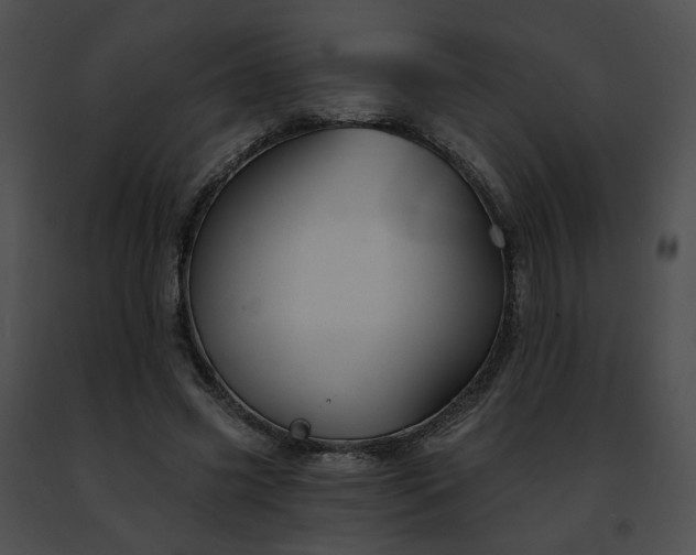 X0000091470541200708301855