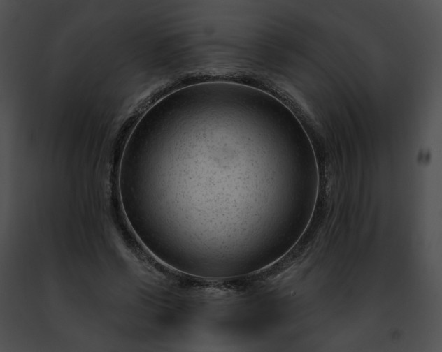 X0000091470542200708301855