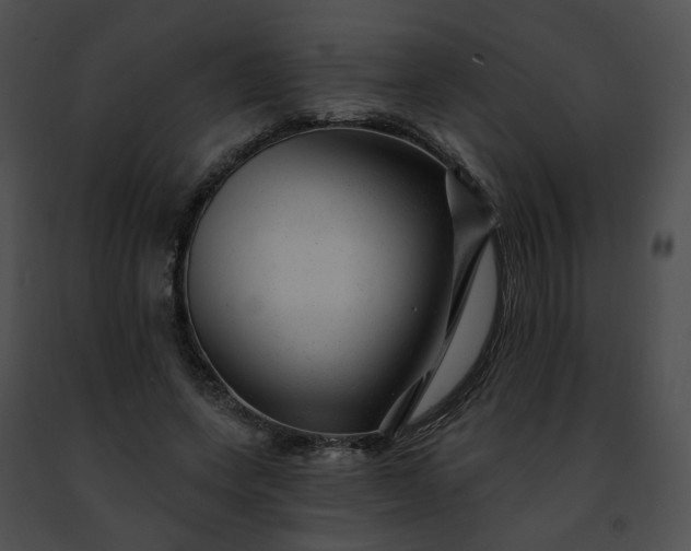 X0000091470543200708301855